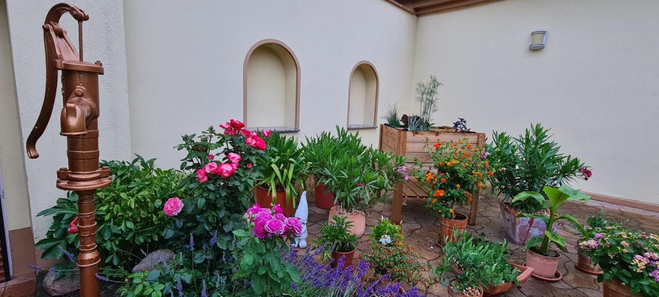 Die Ferienwohnung "Am Kietz" Schwedt Luaran gambar